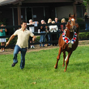 North Arabians - Open House