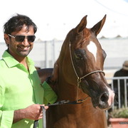 Kwestura - Champion Mares with Sh. Ammar