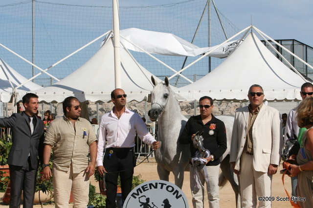 Ladi Veronica - Silver Mares for Dubai Stud