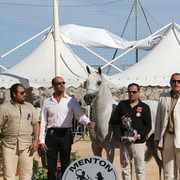 Ladi Veronica - Silver Mares for Dubai Stud