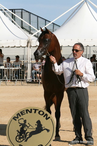 Maharaja HDM - Champion Jr. Colt with Michael Byatt