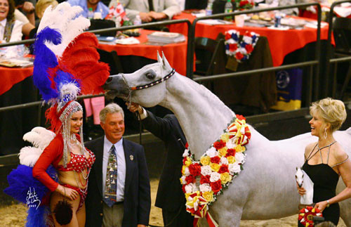 2007 Arabian Breeders World Cup