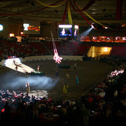 2007 Arabian Breeders World Cup