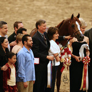 Senior Stallion Reserve Champion - Enzo