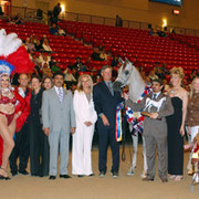 Junior Mare Champion - Om El Bernadette