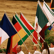 2007 Arabian Breeders World Cup