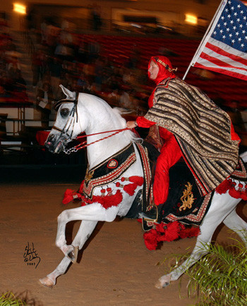 2007 Arabian Breeders World Cup