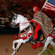 2007 Arabian Breeders World Cup
