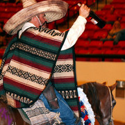 Freestyle Reining Invitational Jackpot Champion - Al Marah Horatio+/, ridden by Gary Ferguson