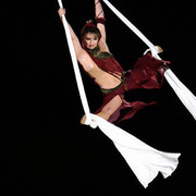 2007 Arabian Breeders World Cup