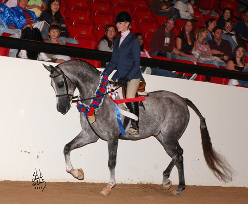 Hunter Pleasure ATR Champion - I M Mystikal, ridden by Katie Russell
