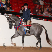 Hunter Pleasure ATR Champion - I M Mystikal, ridden by Katie Russell