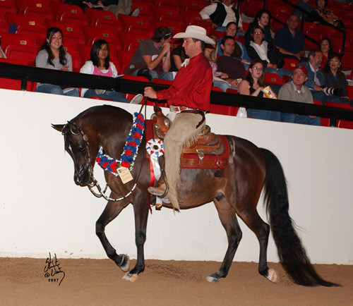 Western Pleasure Jackpot Champion - Navigator A, ridden by Brett Becker
