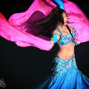 2007 Arabian Breeders World Cup