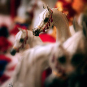 2007 Arabian Breeders World Cup