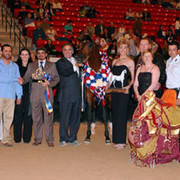 Senior Stallion Champion - Dakharo