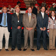 2007 Arabian Breeders World Cup