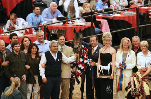 Senior Mare Champion - LL Beauty Dream