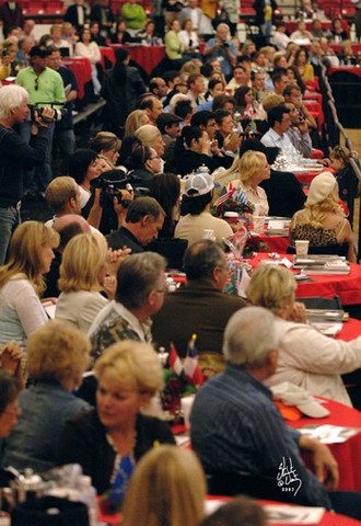 2007 Arabian Breeders World Cup