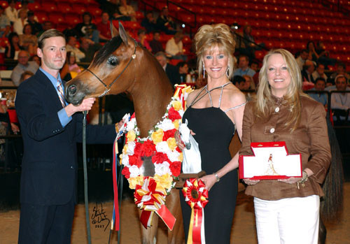 Junior Mare Reserve Champion - EVG Ghislenne