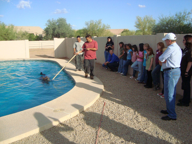 Witte Stables Hosts Girl Scouts