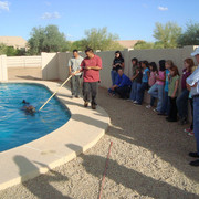 Witte Stables Hosts Girl Scouts