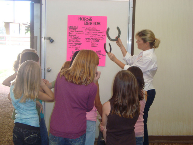 Witte Stables Hosts Girl Scouts