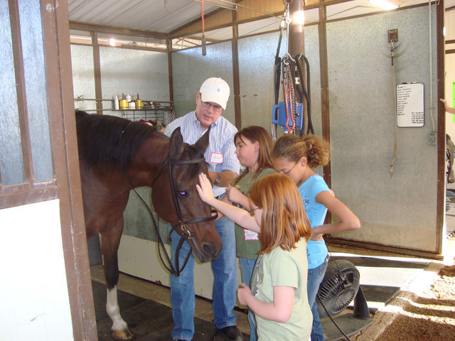 Witte Stables Hosts Girl Scouts