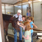 Witte Stables Hosts Girl Scouts
