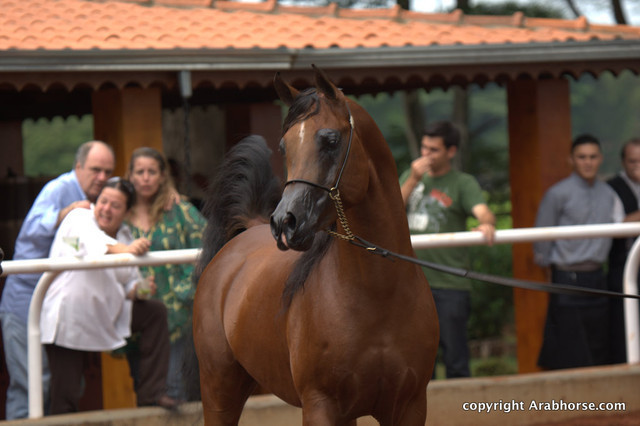Guzzo Training Center Open  House - Brazil 2009