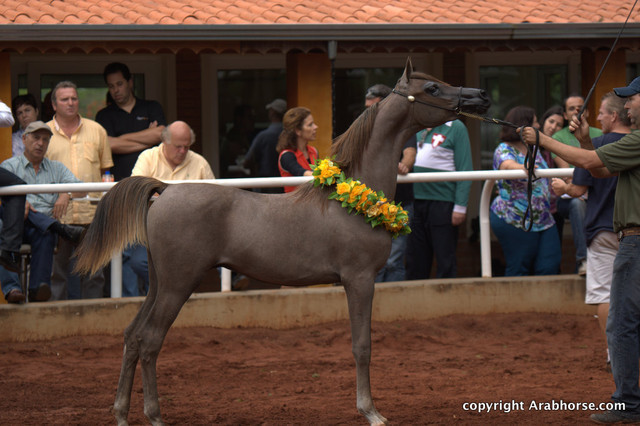 Guzzo Training Center Open  House - Brazil 2009