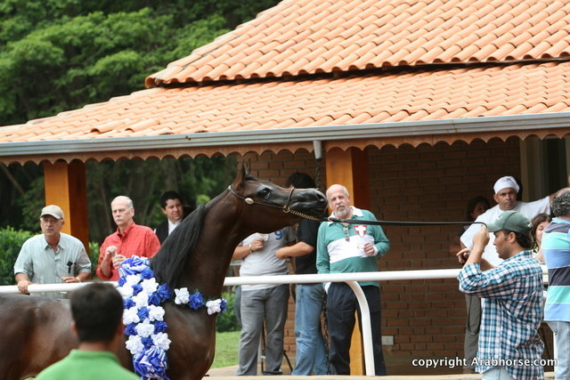Guzzo Training Center Open  House - Brazil 2009