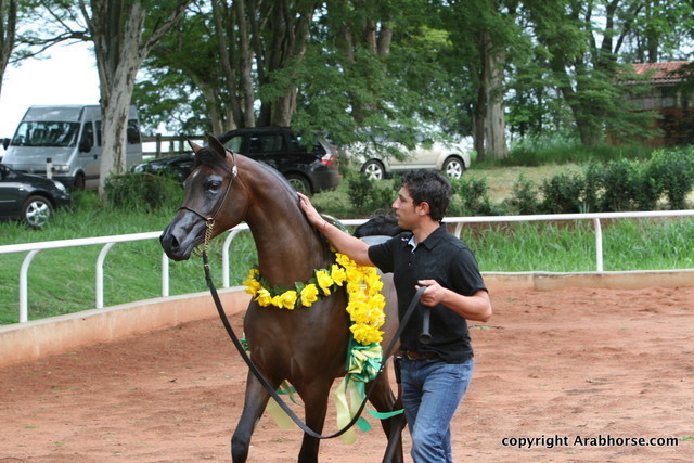 Guzzo Training Center Open  House - Brazil 2009