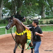 Guzzo Training Center Open  House - Brazil 2009