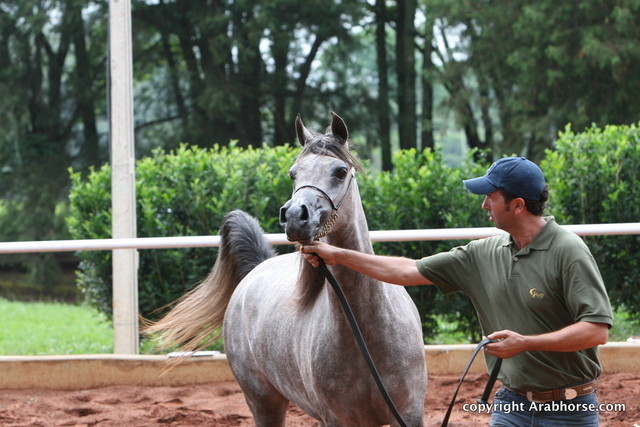 Guzzo Training Center Open  House - Brazil 2009