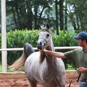 Guzzo Training Center Open  House - Brazil 2009