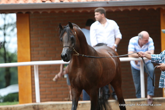 Guzzo Training Center Open  House - Brazil 2009