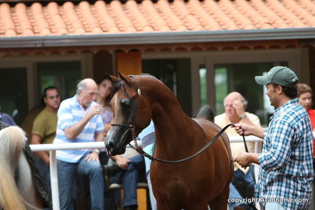 Guzzo Training Center Open  House - Brazil 2009