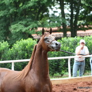 Guzzo Training Center Open  House - Brazil 2009