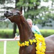 Guzzo Training Center Open  House - Brazil 2009