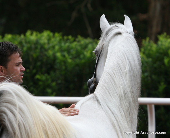 Guzzo Training Center Open  House - Brazil 2009