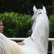 Guzzo Training Center Open  House - Brazil 2009