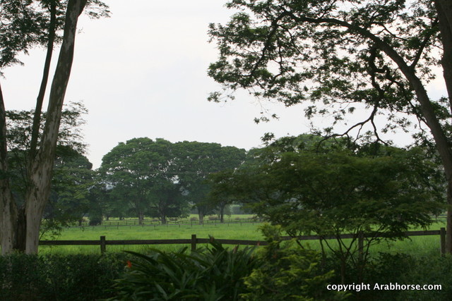 Guzzo Training Center Open  House - Brazil 2009