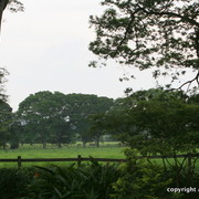 Guzzo Training Center Open  House - Brazil 2009