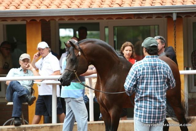 Guzzo Training Center Open  House - Brazil 2009