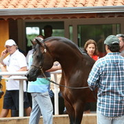 Guzzo Training Center Open  House - Brazil 2009