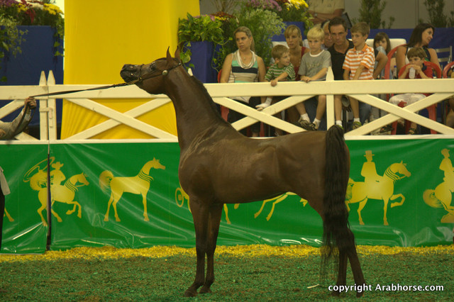 2009 Brazil Nationals
