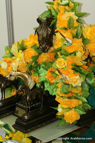 2009 Brazil Nationals