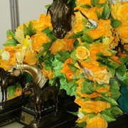 2009 Brazil Nationals