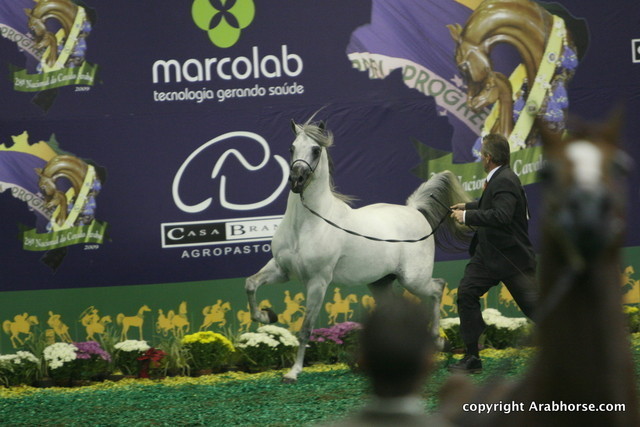 2009 Brazil Nationals